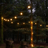ConnectGo Festoon Garden Lights [10 meters / 20 bulbs] - WARM WHITE