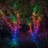 TWINKLY 32 m - 400 LEDs App Controlled Christmas Fairy Lights [Indoor/Outdoor]