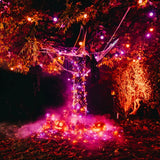 TWINKLY 32 m - 400 LEDs App Controlled Christmas Fairy Lights [Indoor/Outdoor]